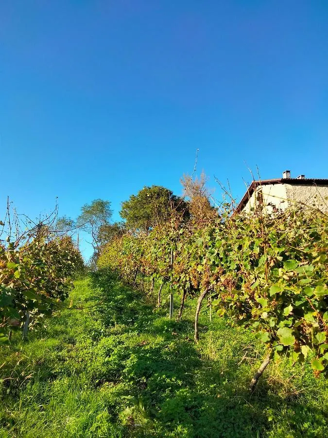 Agroturismo Erlete Goikoa -Estamos En El Camino De Santiago -We Are On The Camino De Santiago Deba Country house