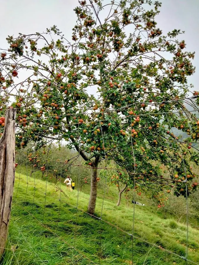 Agroturismo Erlete Goikoa -Estamos En El Camino De Santiago -We Are On The Camino De Santiago Deba Spain